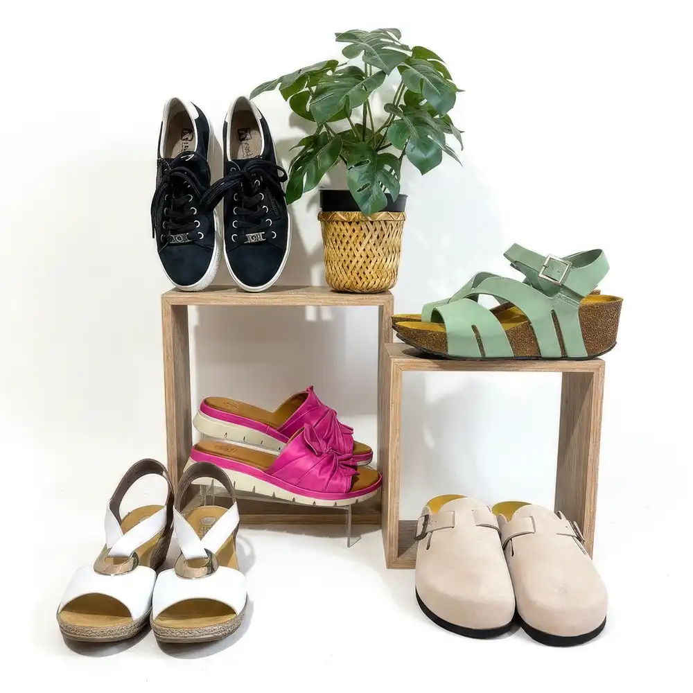 Collection of shoes including sneakers, sandals, and clogs on a white background with a plant.