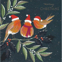 Christmas card with three birds wearing Santa hats and scarves on a dark background.