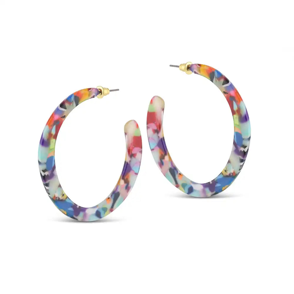 Mutli coloured hoop earrings 