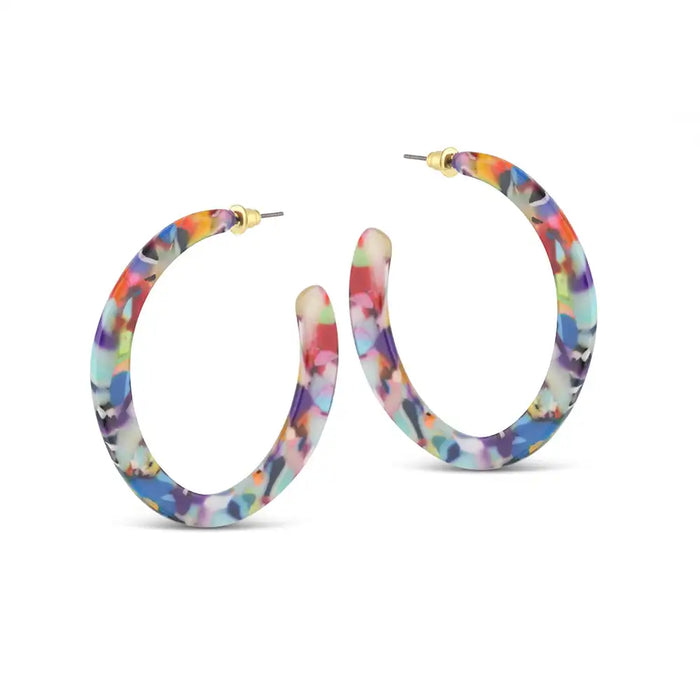 Mutli coloured hoop earrings 