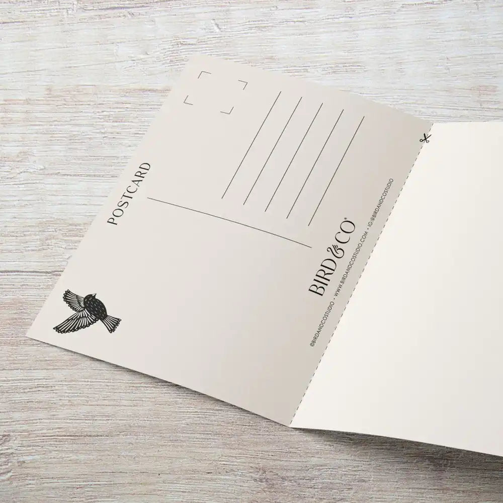 Bird & Co postcard on a wooden surface