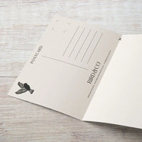 Bird & Co postcard on a wooden surface
