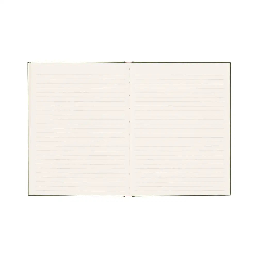 Open notebook with lined pages on a white background