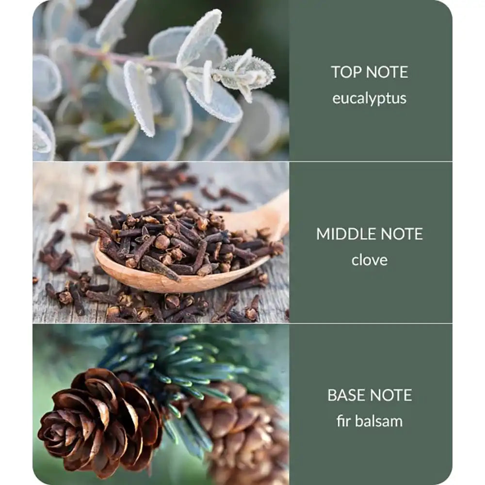 A three-panel fragrance notes graphic .