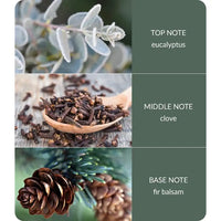 A three-panel fragrance notes graphic .