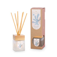 Reed diffuser set with packaging on a white background