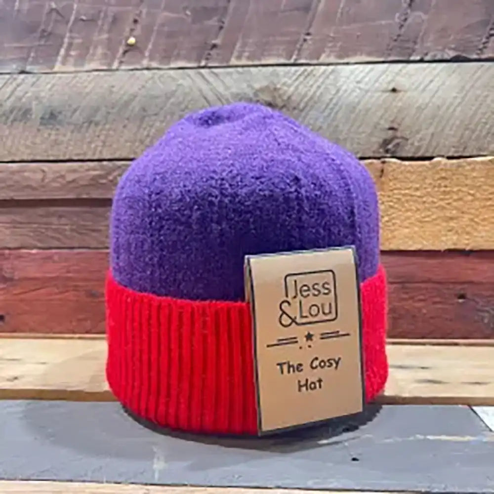 Two Coloured Beanie Purple