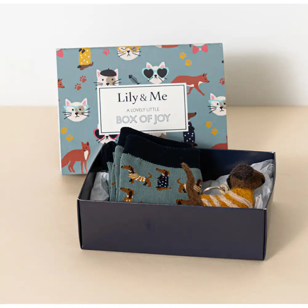 Key Ring & Sock Gift Box - Daphne Dog