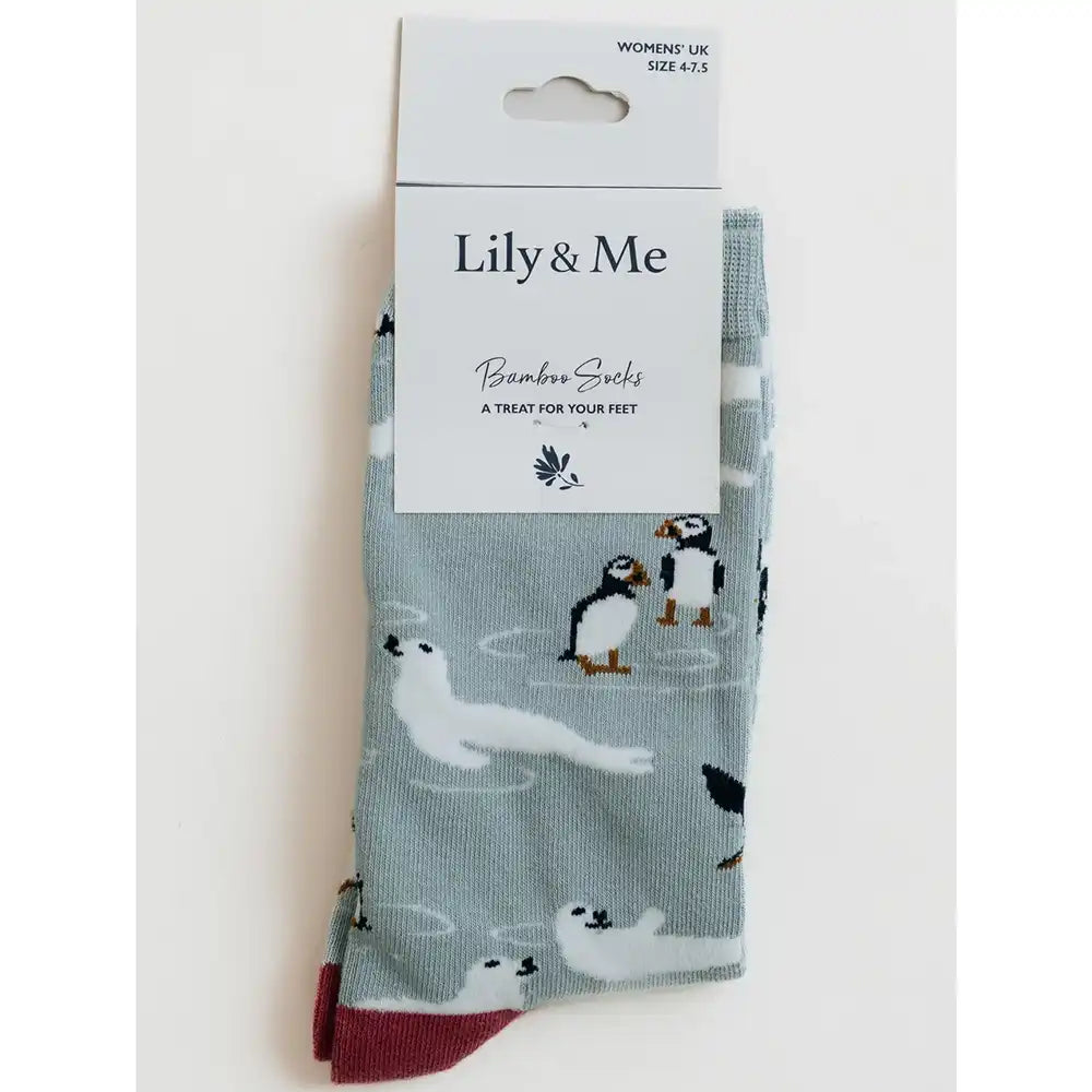 A pair of Lily & Me Bamboo Socks in size 4.2.
