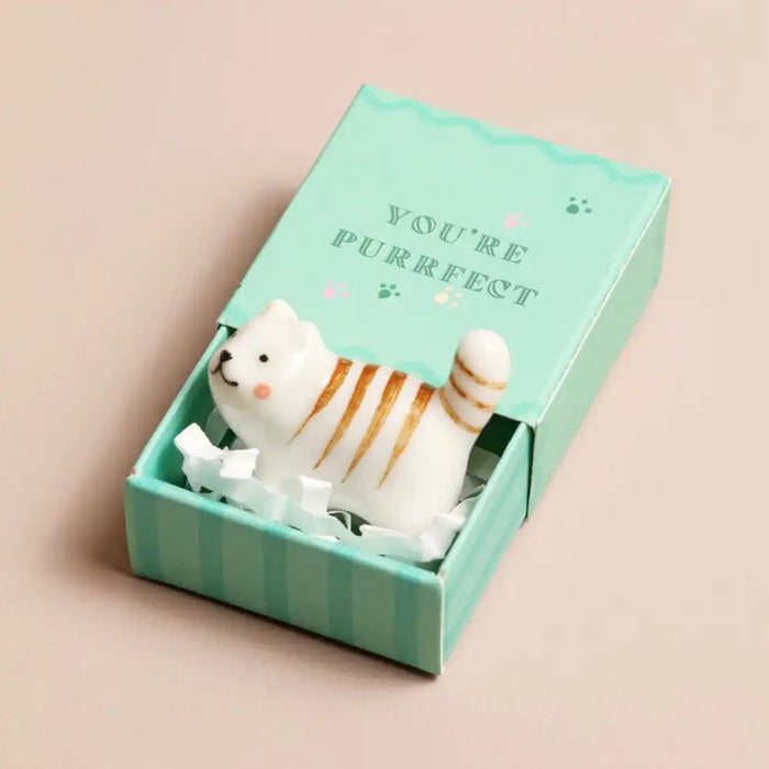 Small cat figurine in a green box with 'You're Purrfect' text on a beige background