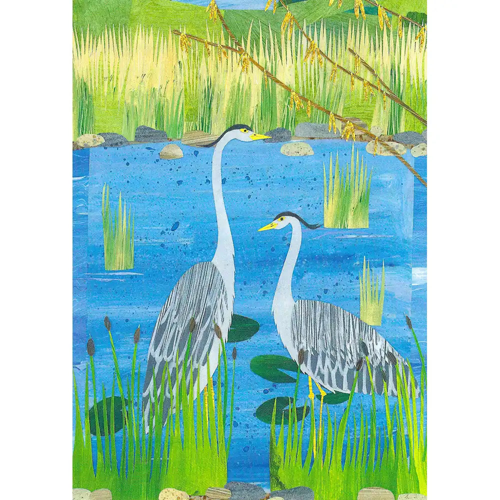 Two herons in a pond with greenery and water lilies