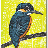 Illustration of a blue and orange bird on a branch with a yellow background