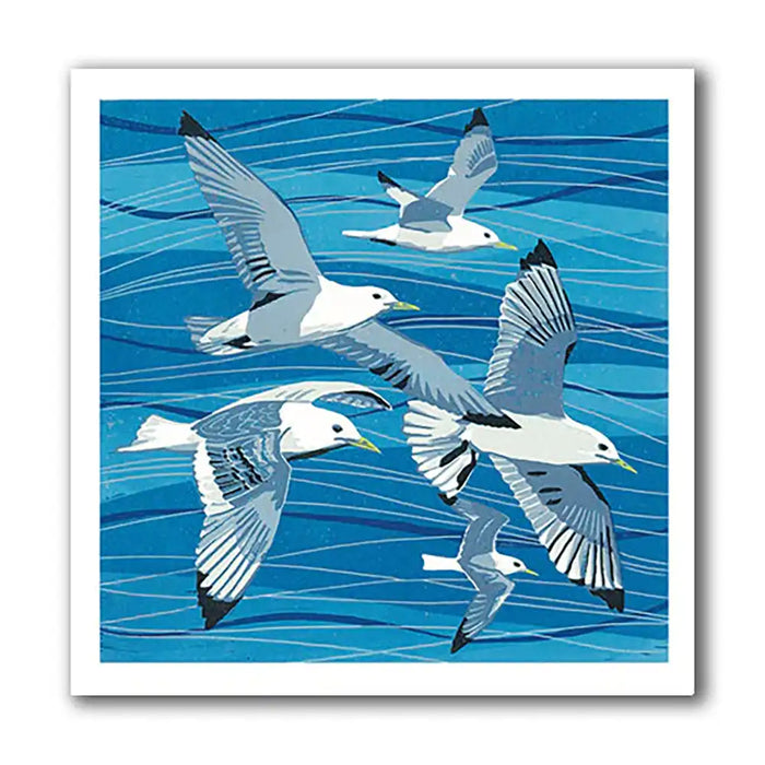 Blue tonal background with soaring Kittiwake birds. 