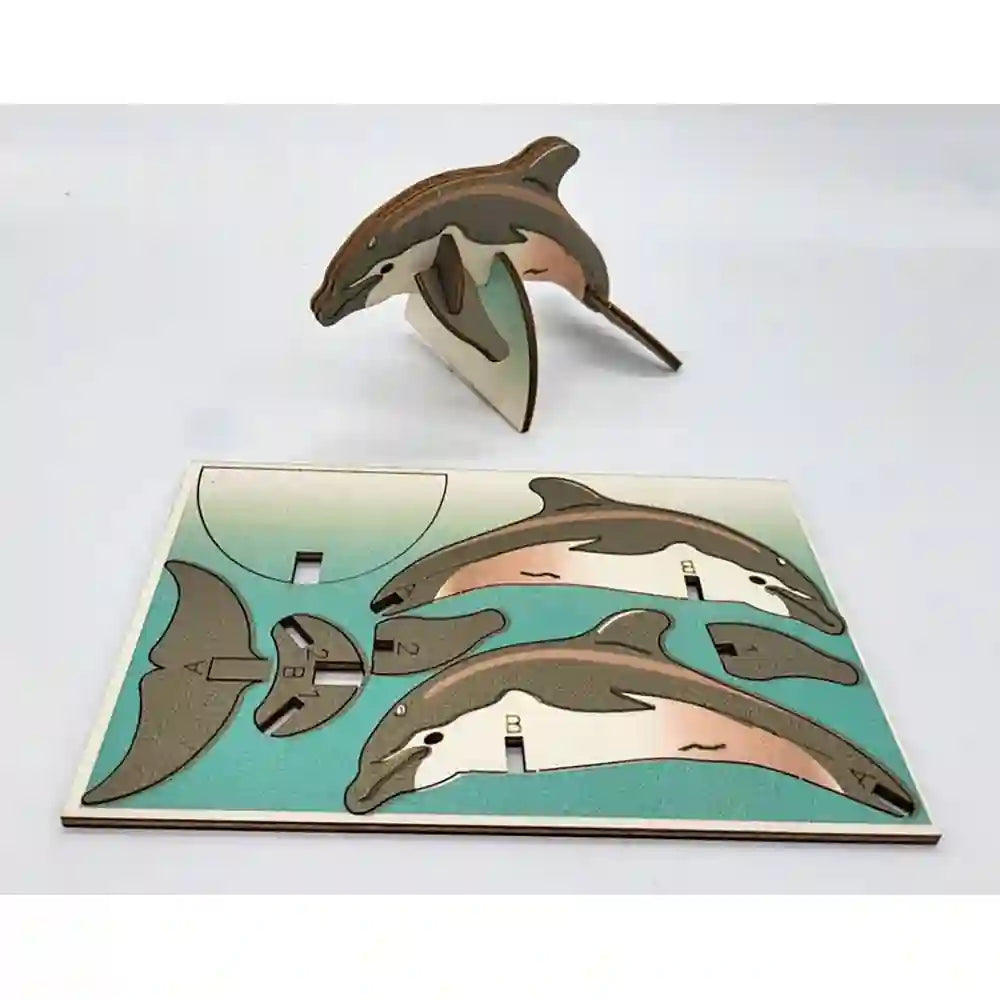Pop-Up Dolphin Card