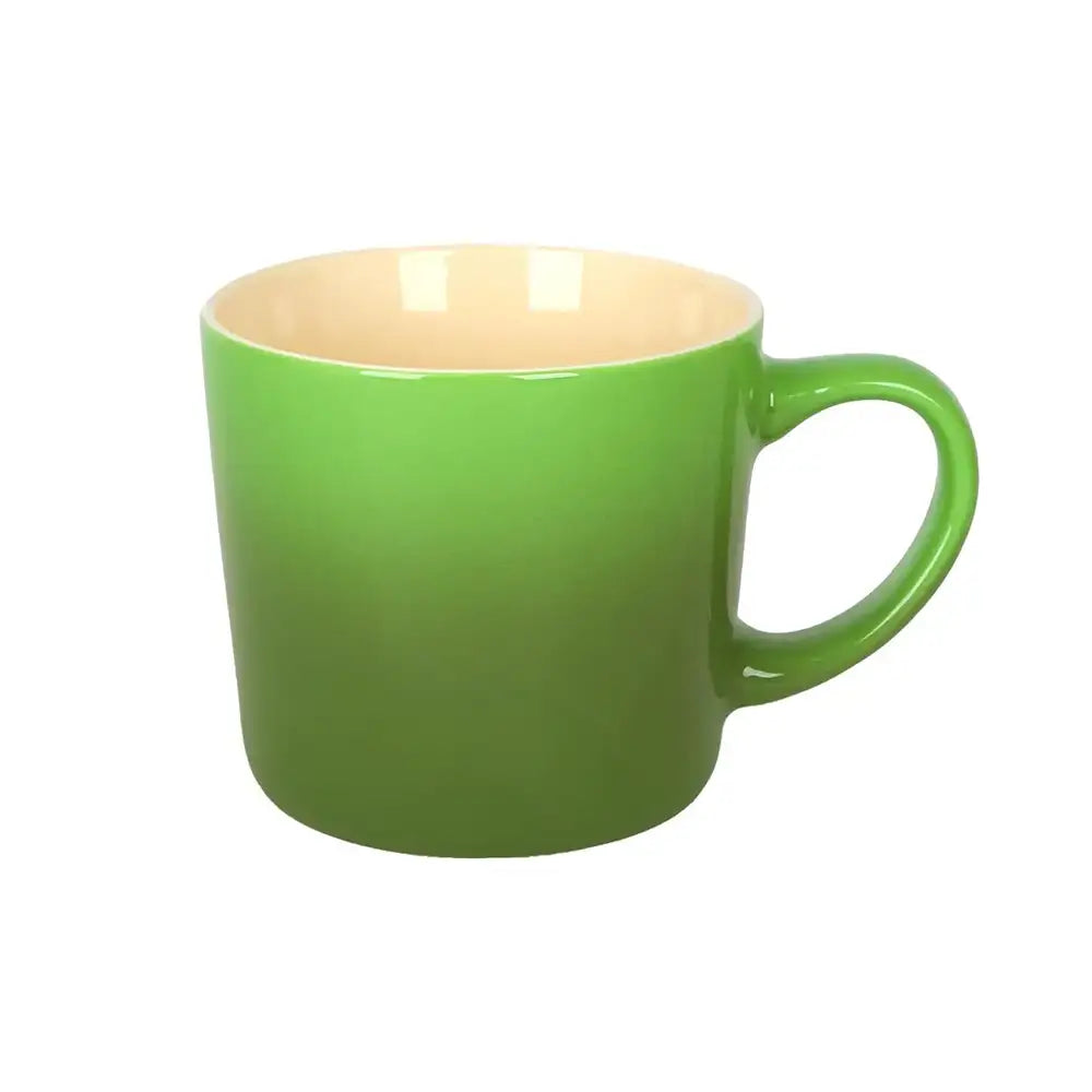 New Bone China Ombre Mug