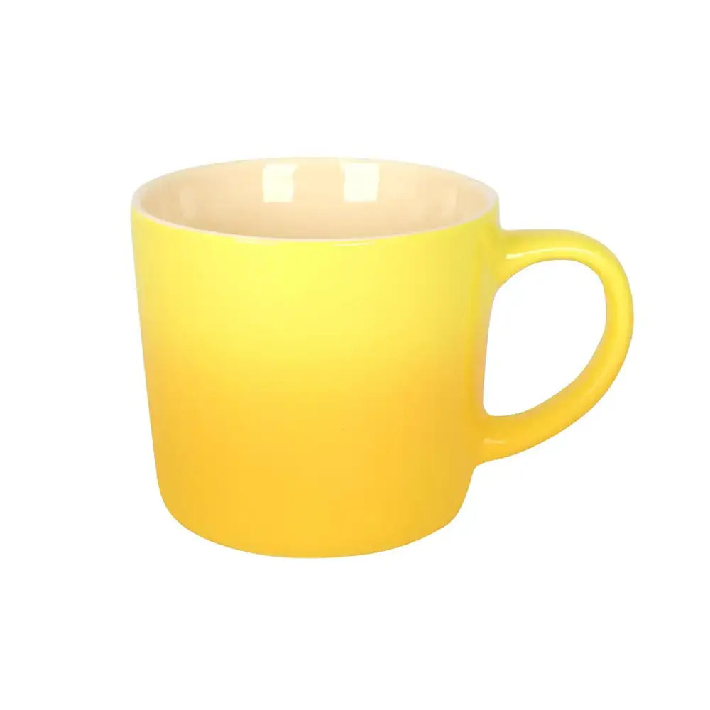 New Bone China Ombre Mug